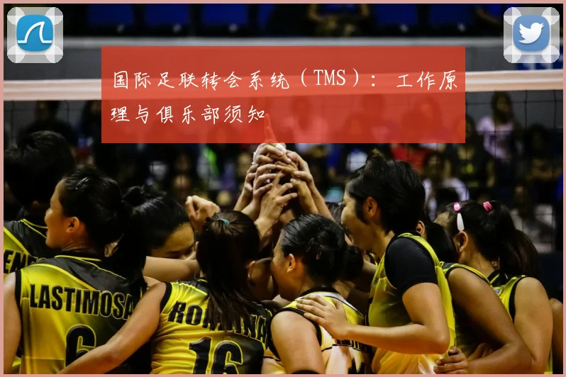 国际足联转会系统(TMS):工作原理与俱乐部须知