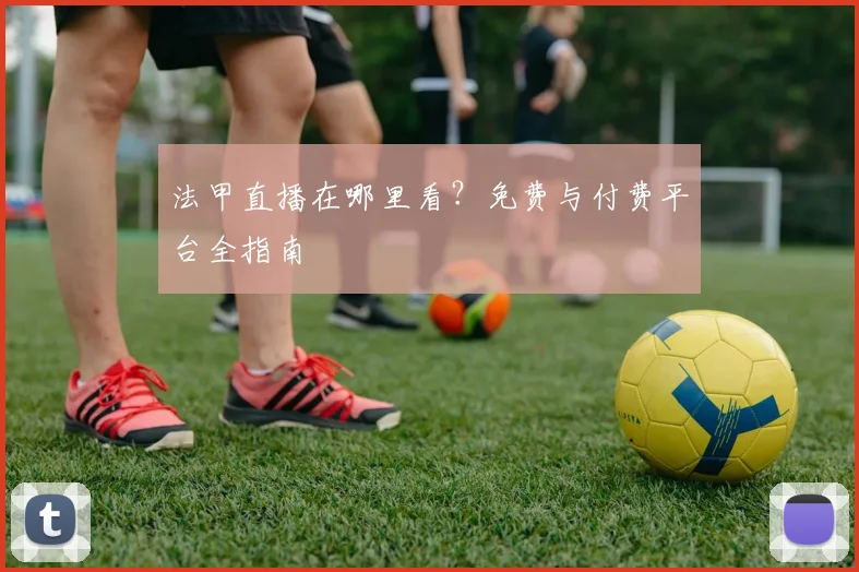法甲直播在哪里看?免费与付费平台全指南