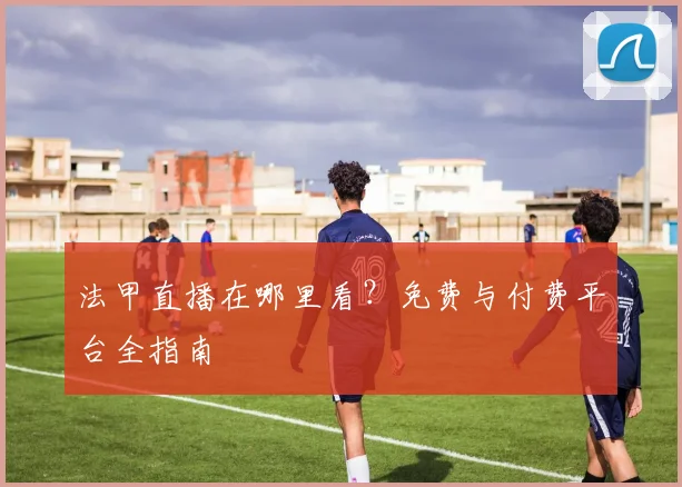 法甲直播在哪里看?免费与付费平台全指南